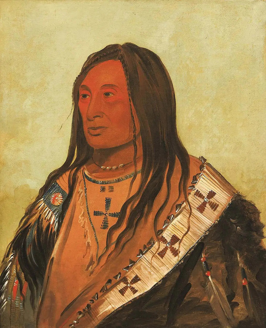 Táh-zee-keh-dá-cha, Ventre déchiré, een dappere edelman - George Catlin

Source:
Táh-zee-keh-dá-cha, Ventre déchiré, un brave distingué - George Catlin