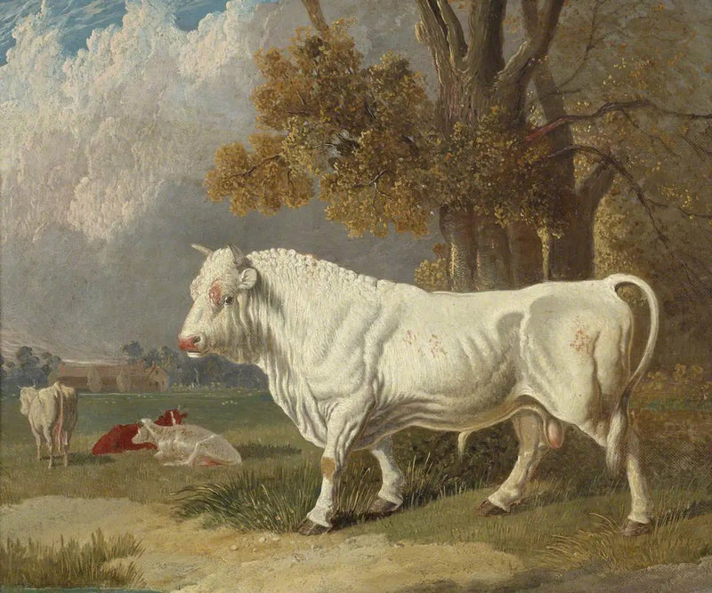 Witte stier, Fulbourn, Cambridgeshire, 1830 - John Frederick Herring, Sr.

Source:
Taureau blanc, Fulbourn, Cambridgeshire, 1830 - John Frederick Herring, Sr.
