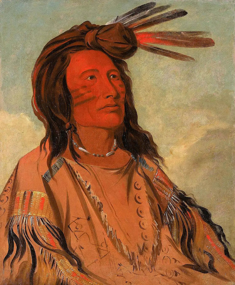Tchán-dee, Tabak, een Oglala-chef - George Catlin

Source:
Tchán-dee, Tabac, un chef Oglala - George Catlin