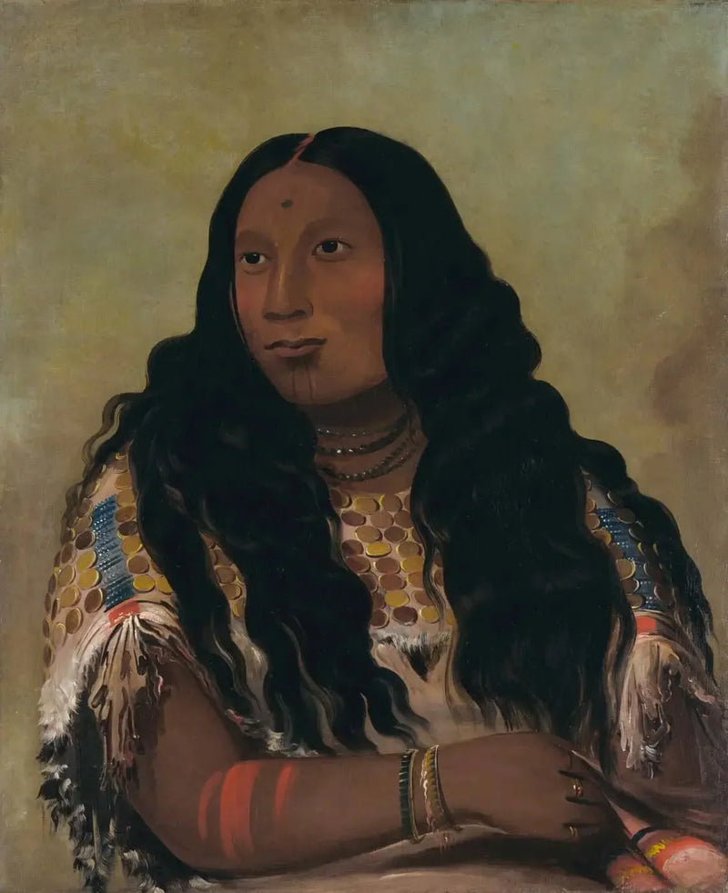 Tchón-su-móns-ka, Zandbank, echtgenote van handelaar François Chardon - George Catlin

Source:
Tchón-su-móns-ka, Banc de Sable, épouse du commerçant François Chardon - George Catlin