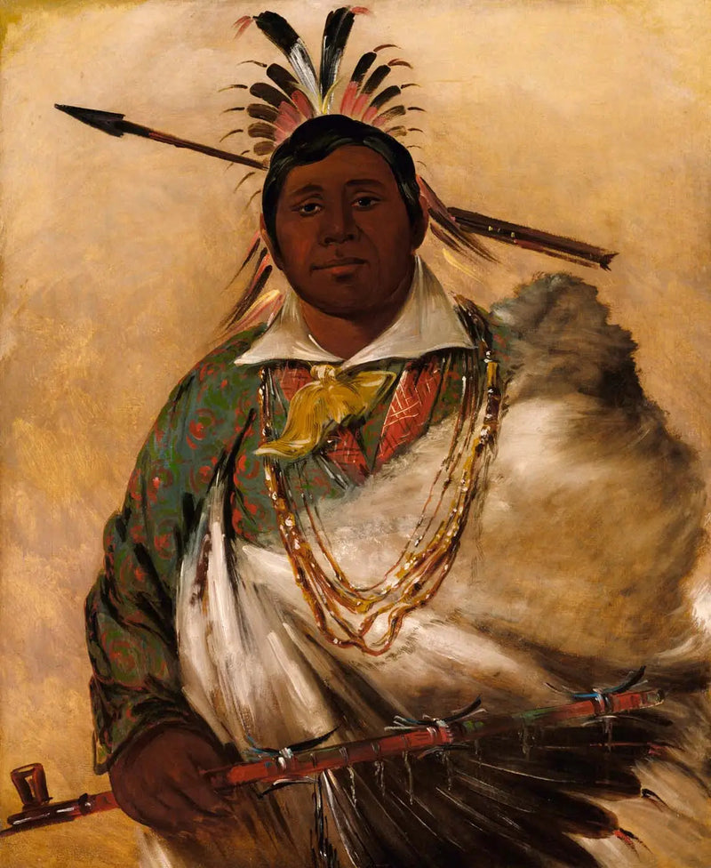 Téh-ke-néh-kee, zwart jas, een chef - George Catlin

Source:
Téh-ke-néh-kee, manteau noir, un chef - George Catlin