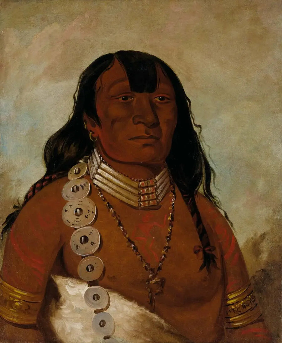 Reproductie van een klassiek olieverfschilderij - Alpha Reproductie

Source:
Téh-tóot-sah (mieux connu sous le nom de Tohausen, Little Bluff), premier chef - George Catlin