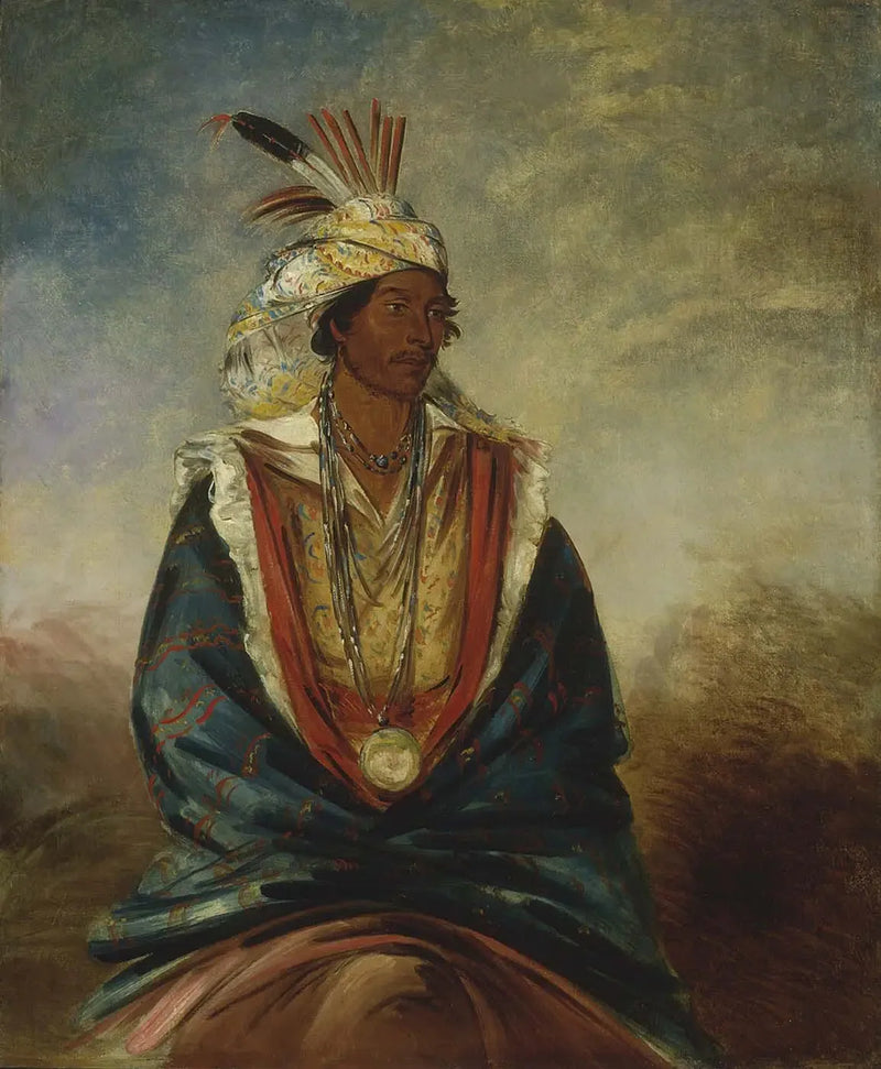Tel-maz-há-za, een man van onderscheid - George Catlin

Source:
Tel-maz-há-za, un guerrier de distinction - George Catlin