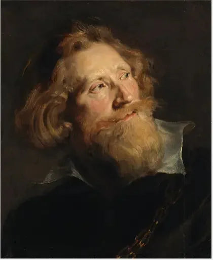 Beard man hoofd - Peter Paul Rubens