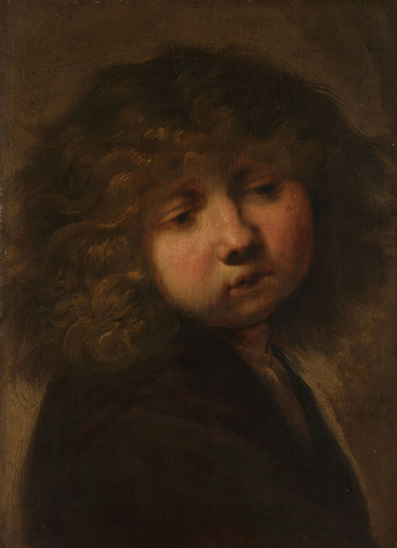 Hoofd van een jongen - Rembrandt