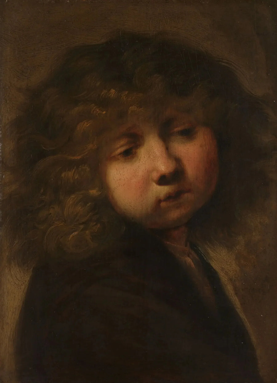 Hoofd van een jongen - Rembrandt