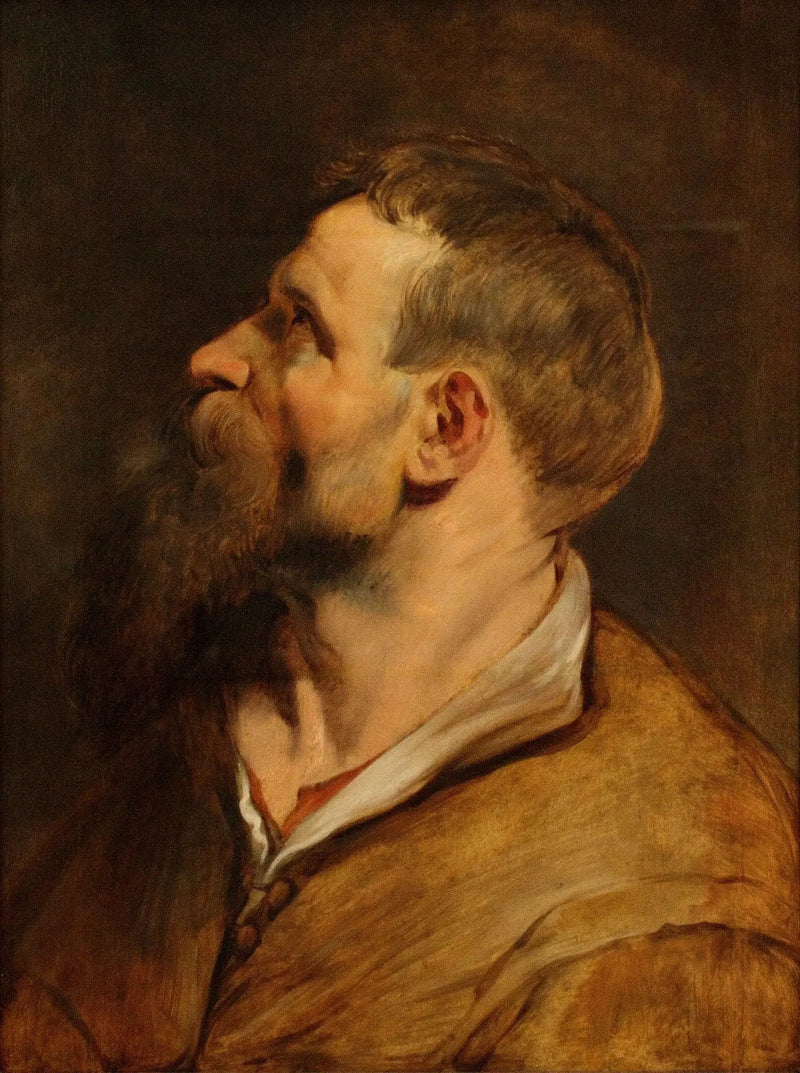 Hoof van een bebaarde man die naar links kijkt - Peter Paul Rubens