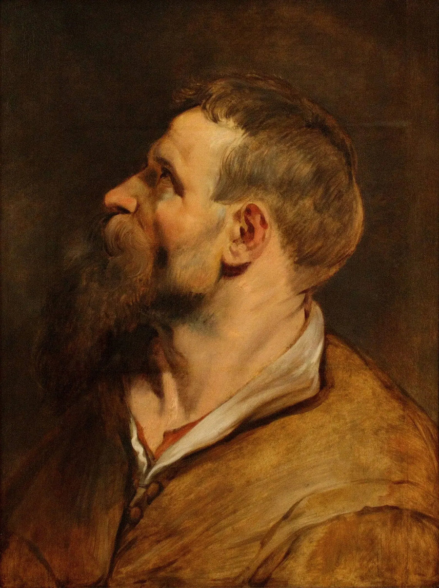 Hoof van een bebaarde man die naar links kijkt - Peter Paul Rubens