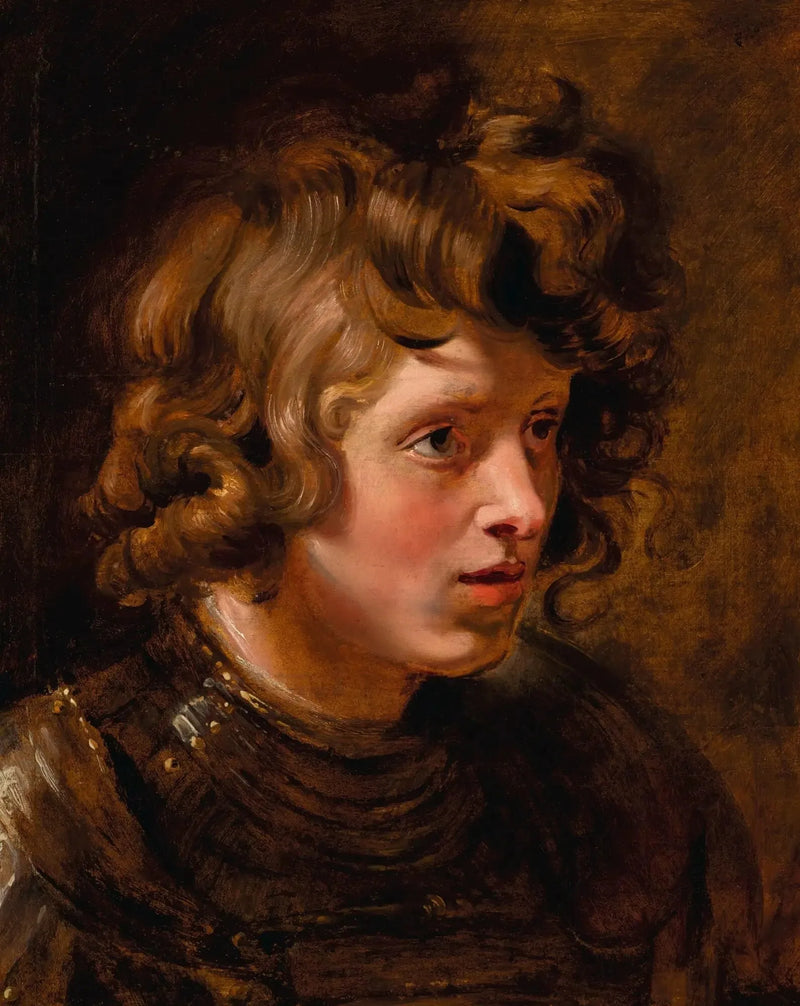 Hoofd van een jonge man met een harnas - Peter Paul Rubens