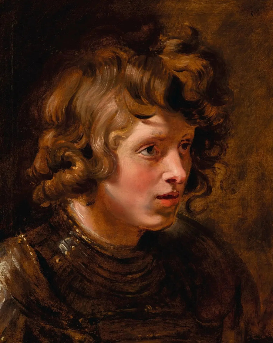 Hoofd van een jonge man met een harnas - Peter Paul Rubens