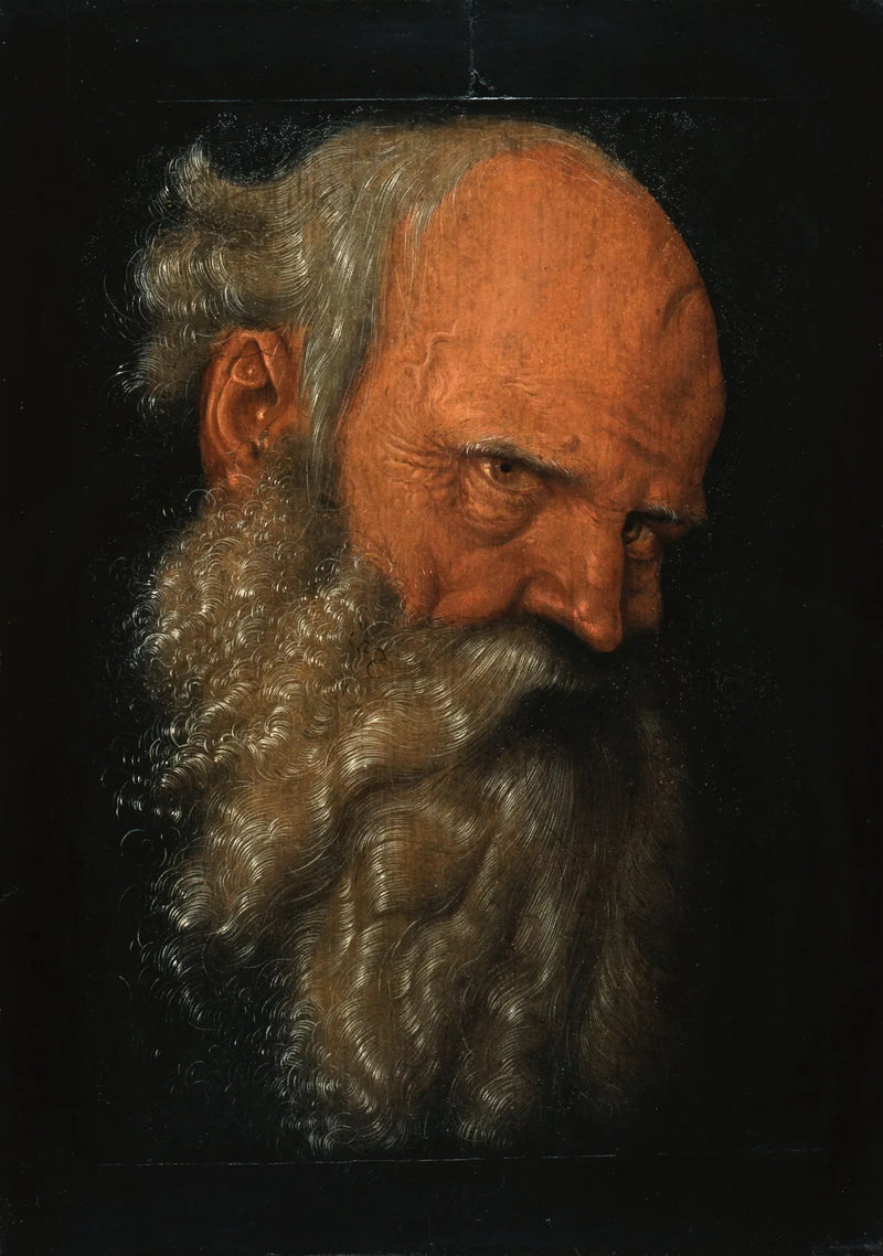 Hoofd van een oude bebaarde man - Hans Baldung Grien