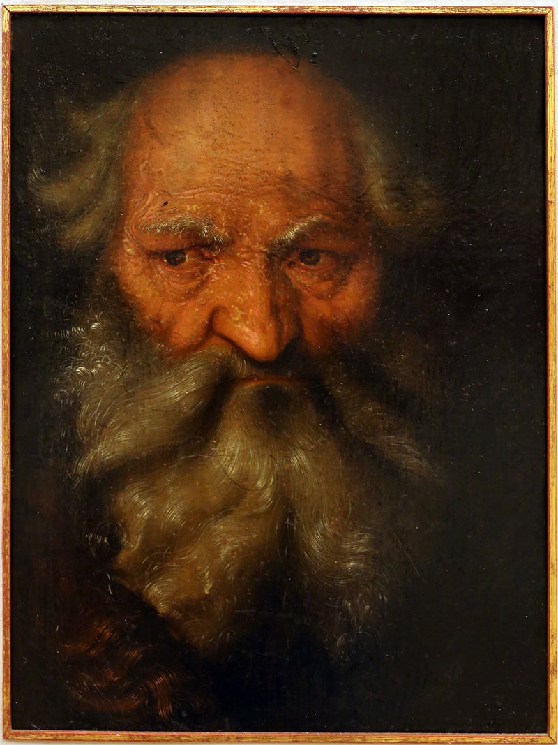 Hoofd van een oude man - Hans Baldung Grien