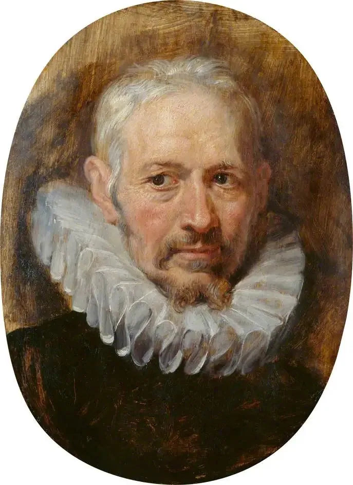 Hoofd van een oude man - Peter Paul Rubens