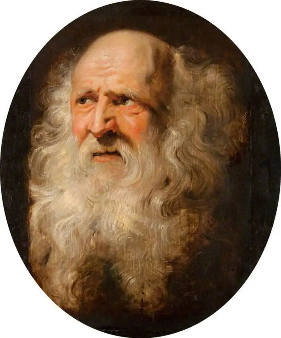 Hoofd van een oude man - Peter Paul Rubens