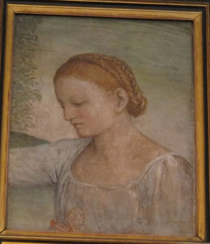 Hoofd van een meisje - Bernardino Luini