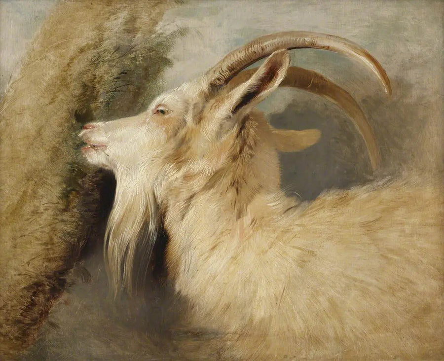 Geitenkop - Edwin Henry Landseer

Source:
Tête de chèvre - Edwin Henry Landseer