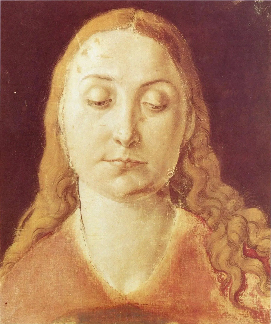 Vrouwengezicht - Albrecht Dürer