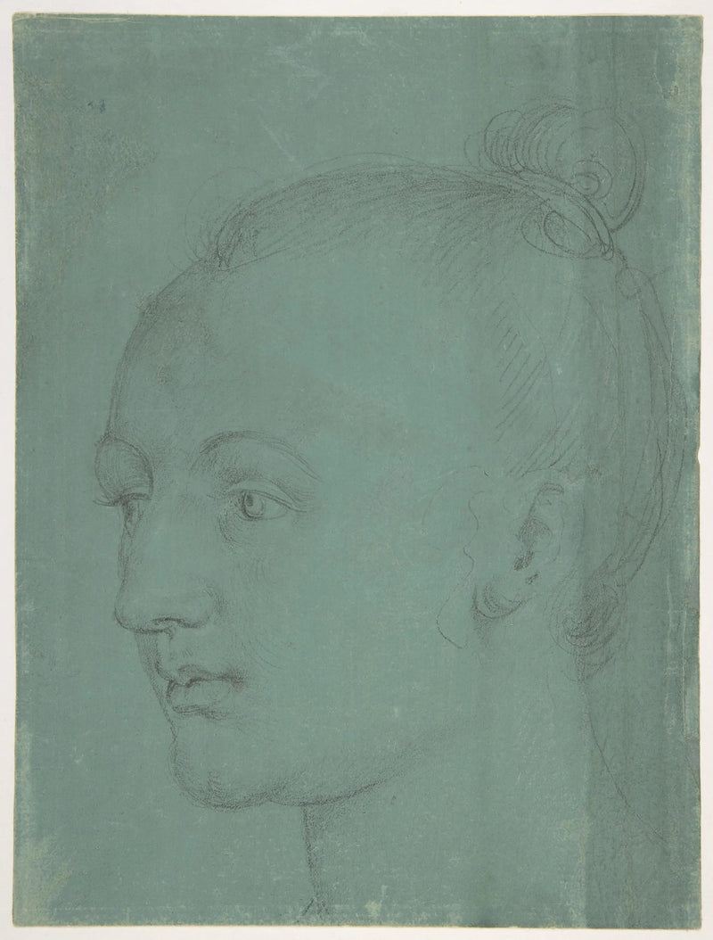 Hoofd van een jonge vrouw - Albrecht Dürer