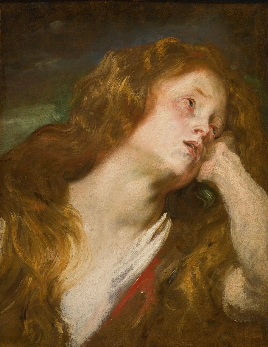 Hoofd van een jonge vrouw - Antoine van Dyck

Source:
Tête de jeune femme - Antoine van Dyck