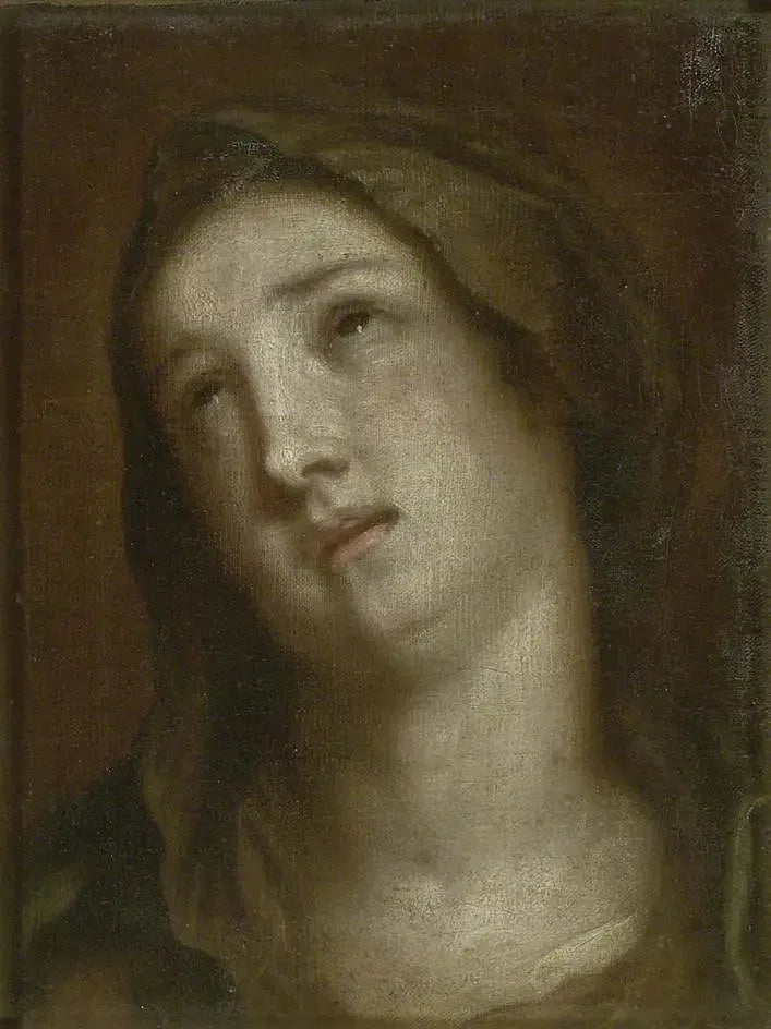 Moeder met het dode kind - Antoine van Dyck

Source:
Tête de la Vierge en deuil - Antoine van Dyck