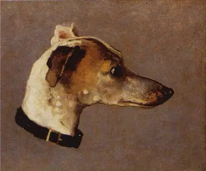 Kop van een windhond - Claude Monet