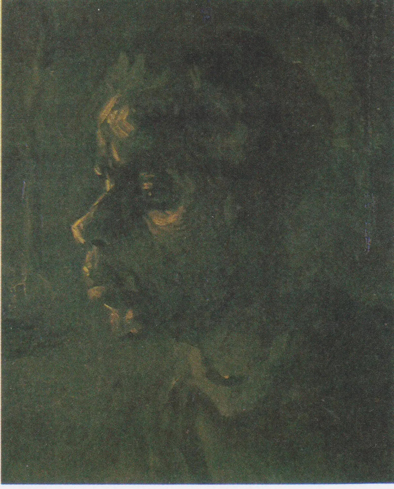 Boerenkop - Vincent van Gogh