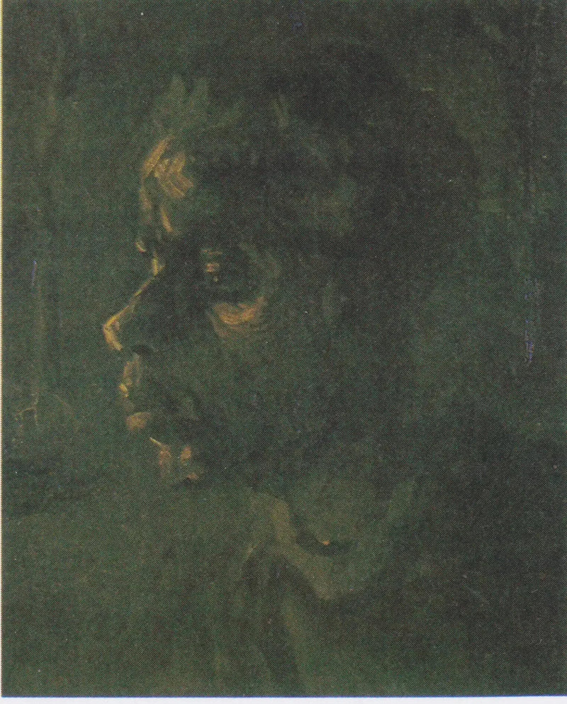Boerenkop - Vincent van Gogh
