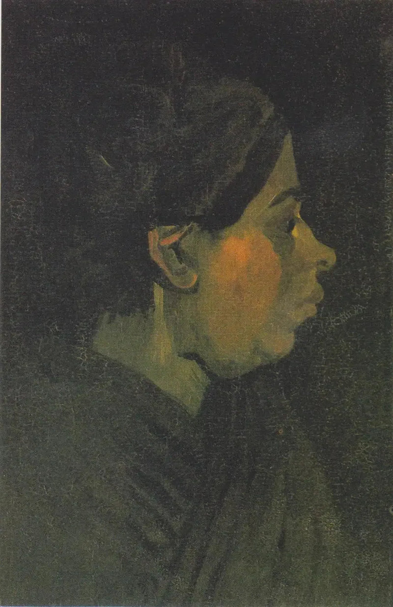 Boerenkop - Vincent van Gogh
