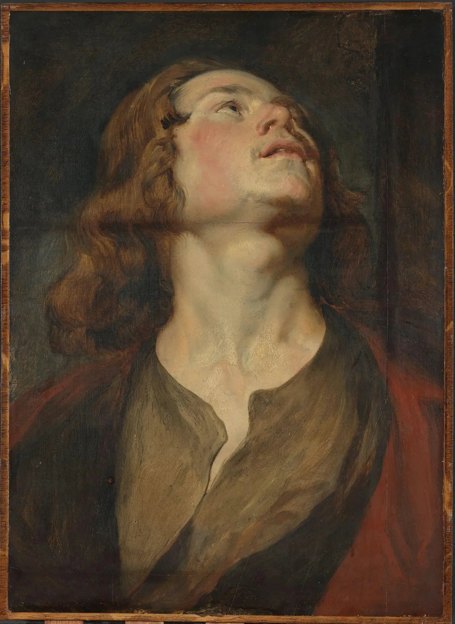 Hoofd van Sint-Jan - Antoine van Dyck

Source:
Tête de Saint Jean - Antoine van Dyck