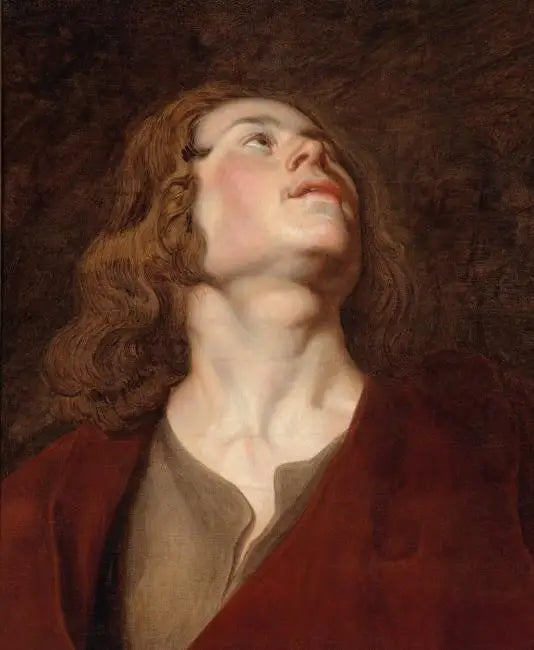 Hoofd van Sint-Jan - Peter Paul Rubens