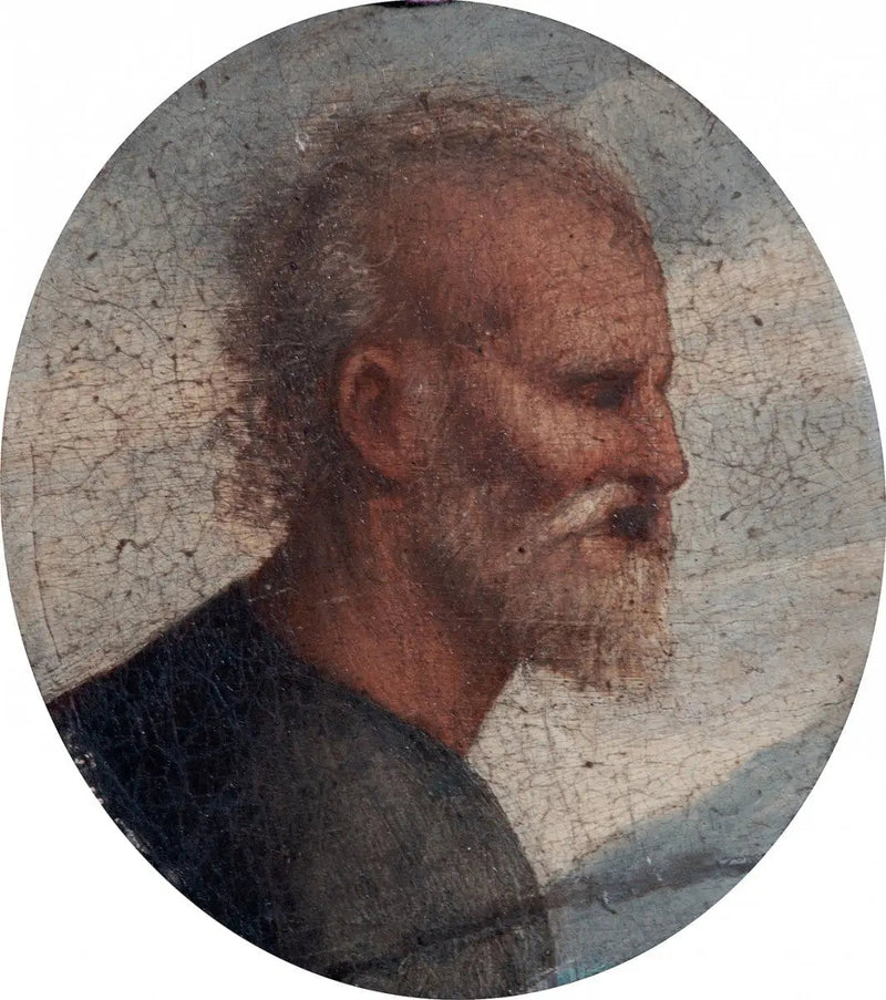 Hoofd van Sint Pieter - Raphael Sanzio