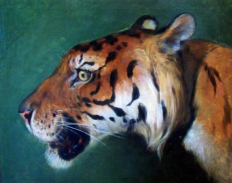 Tijgerkop - Eugène Delacroix