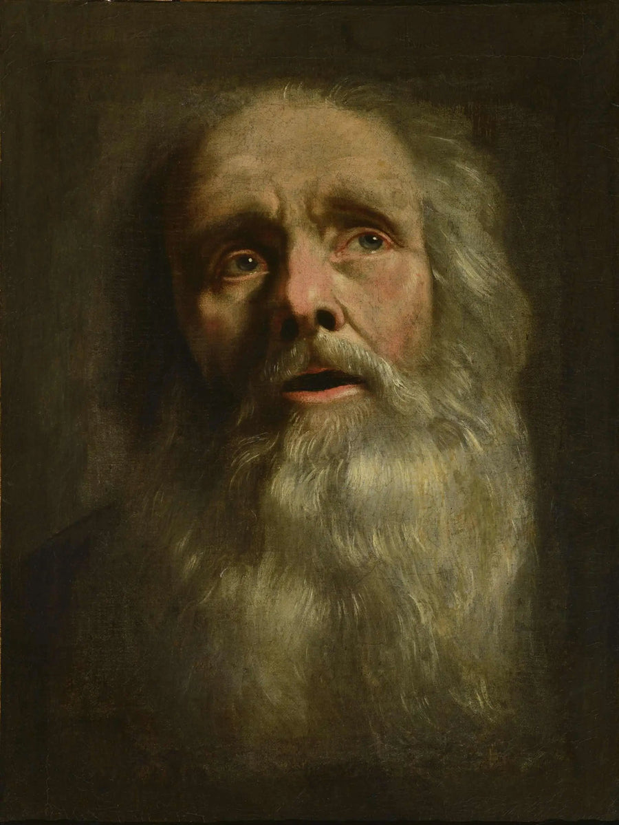Hoofd van een oude man - Philippe de Champaigne