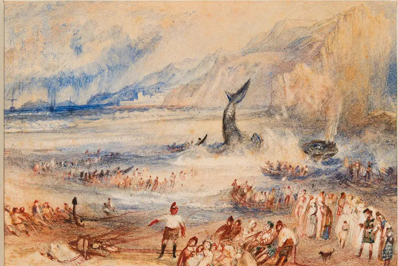De Walvis op het Strand - J. M. W. Turner
