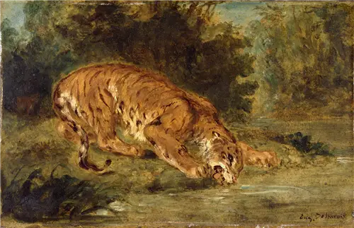 Drinkende tijger - Eugène Delacroix