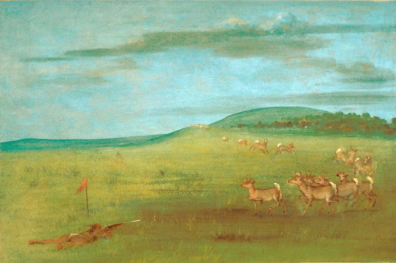 Schieten op een aangetrokken antilope - George Catlin

Source:
Tir sur une antilope attirée - George Catlin