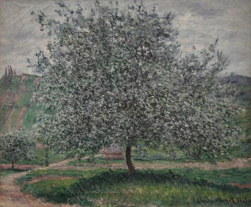 Vertaalde titel niet beschikbaar - Claude Monet