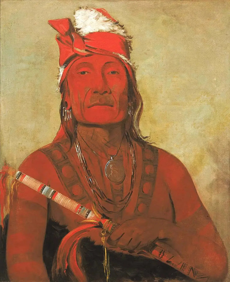Toh-kí-e-to, steen met horens, een chef - George Catlin

Source:
Toh-kí-e-to, pierre avec des cornes, un chef - George Catlin