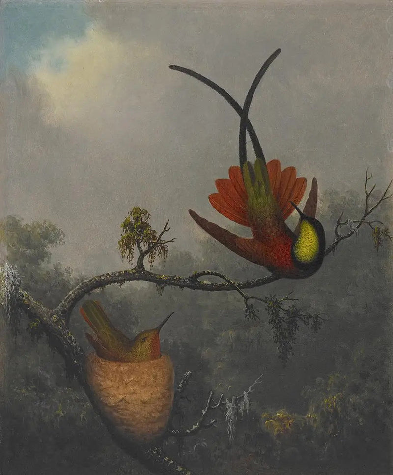 Topaas koraalrood - Martin Johnson Heade

Source:
Topaze cramoisie - Martin Johnson Heade