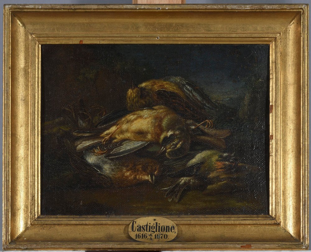 Tote Vögel - Giovanni Benedetto Castiglione image 1 copie peinte à la main à l’huile