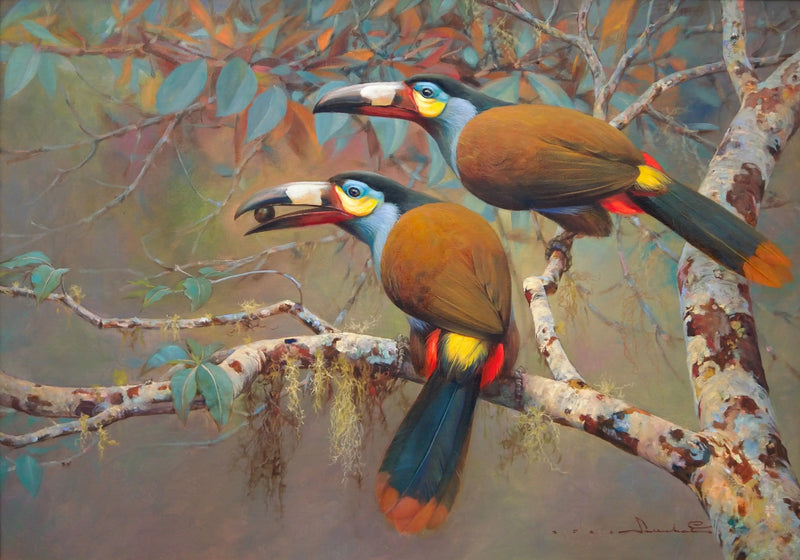 Bergtoekan | 60x90cm