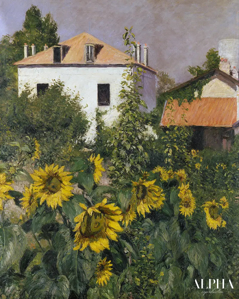 Tournesols dans le jardin du Petit Gennevilliers - Caillebotte - Reproductions de tableaux et peintures haut de gamme