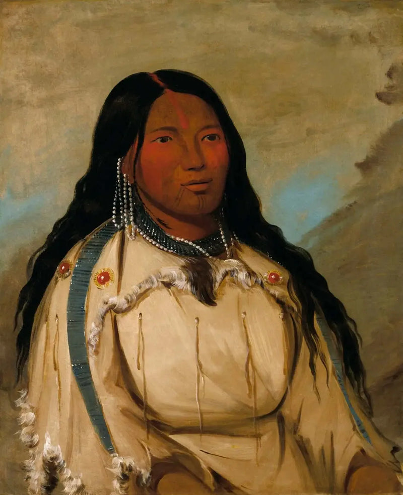 Tow-ée-ka-wet, een vrouw schreeuwt - George Catlin

Source:
Tow-ée-ka-wet, une femme crie - George Catlin