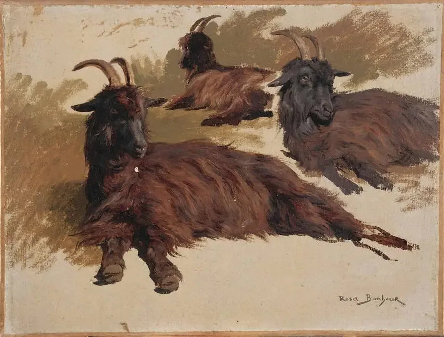 Drie geiten rustend - Rosa Bonheur