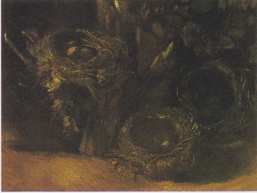 Stilleven met drie vogelnesten - Vincent van Gogh