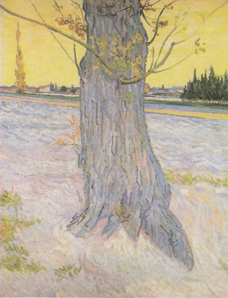 Stam van een oude jeneverbes - Vincent van Gogh