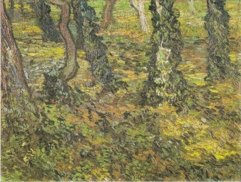 Boomstammen met klimop - Vincent van Gogh