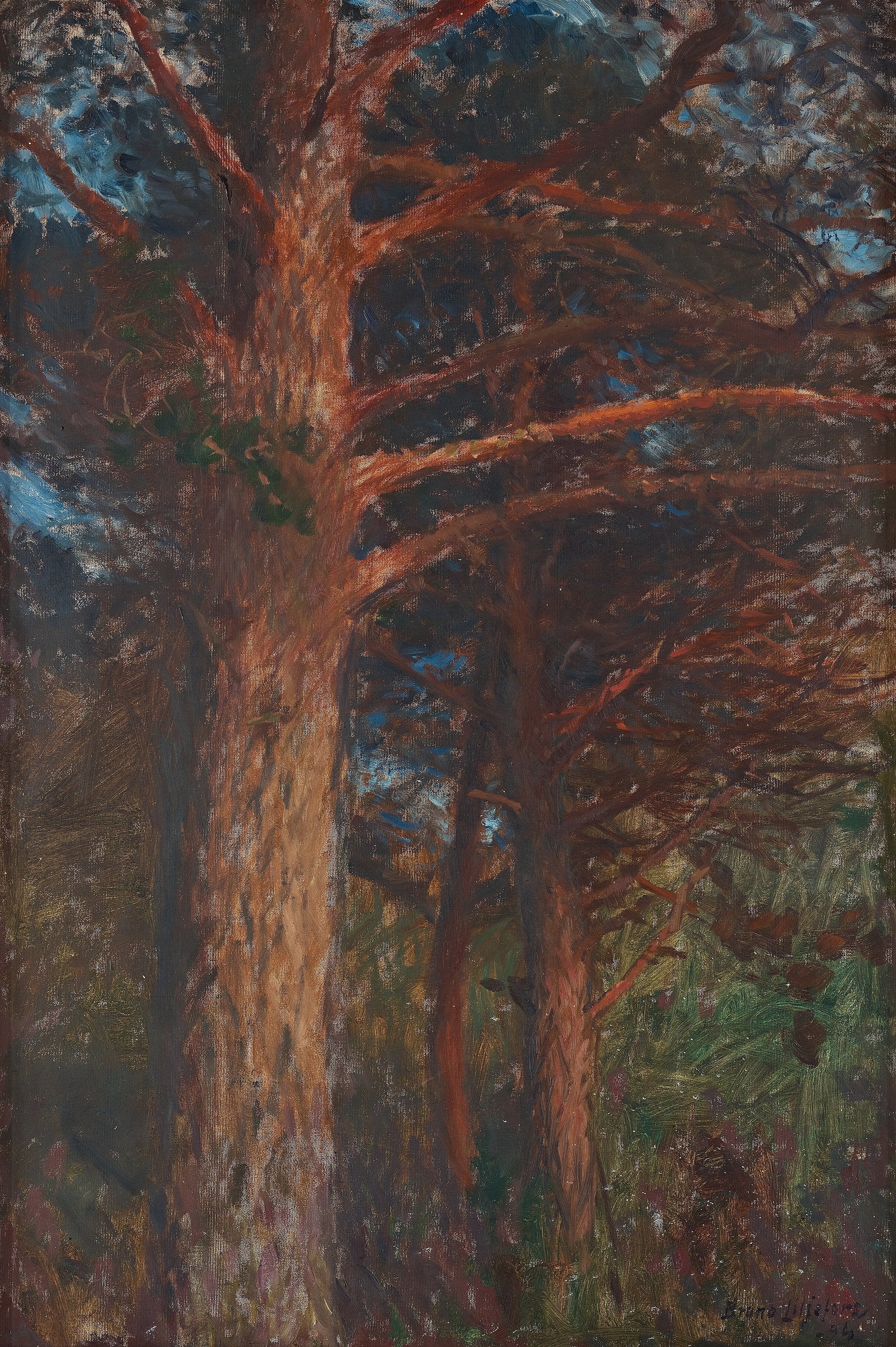 Troncs de pins après le coucher du soleil - Bruno Liljefors image 1 reproduction d’œuvre d’art à l’huile