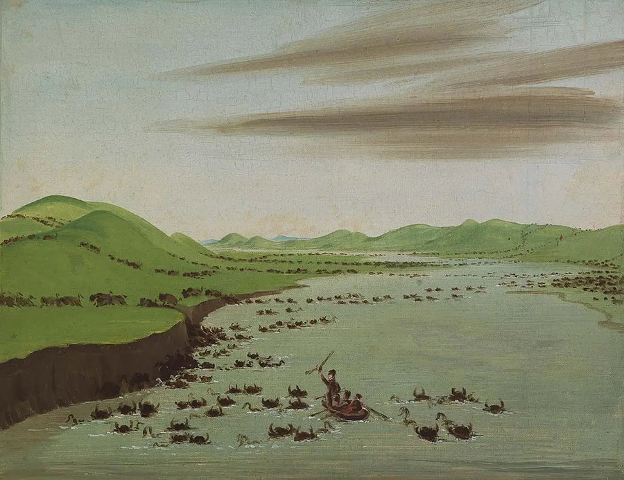 Troepen bizons die de Upper Missouri oversteken - George Catlin

Source:
Troupeaux de bisons traversant le Haut-Missouri - George Catlin