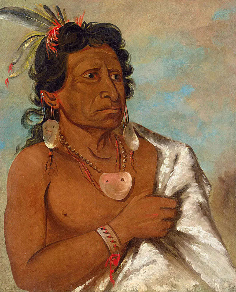 U'sh-ee-kitz, Die vecht met een veer, stamhoofd - George Catlin

Source:
U'sh-ee-kitz, Celui qui se bat avec une plume, chef de la tribu - George Catlin